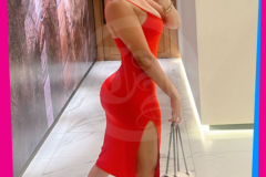 teensregias-escorts-en-monterrey-shelsy-19